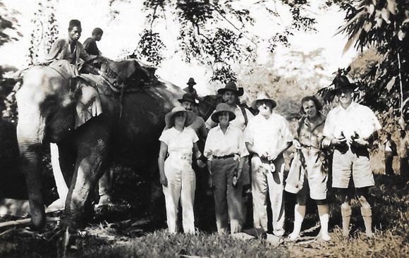 Elephant Picnic Malaya