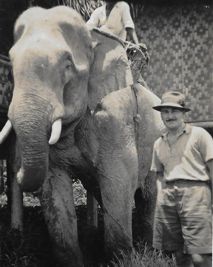 John and Elephant-tn