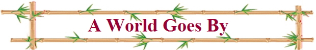 A World Goes By