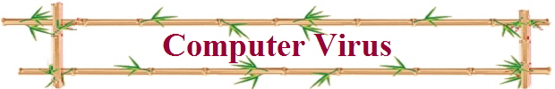 Computer Virus