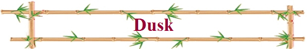 Dusk