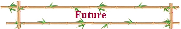 Future