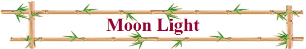 Moon Light