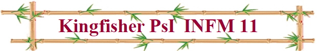 Kingfisher PsI  INFM 11