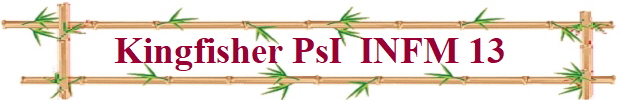 Kingfisher PsI  INFM 13